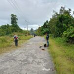 IMG-20251226-WA0036