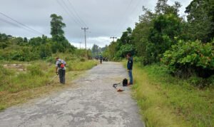 IMG-20251226-WA0036