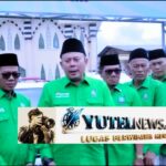 Oplus_16908288