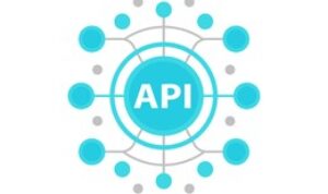 api-application-programming-interface-vector-260nw-1040378902.jpg