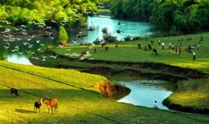 hinh-anh-lang-que-viet-nam-17.jpg