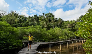 mangrove-park-brgy-tabinay-01.jpg