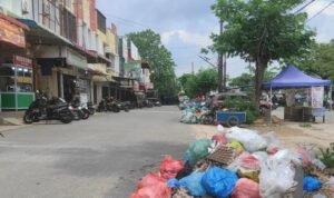 sampah-di-botania-1-f-cecep-mulyana-batam-pos-WkKh0