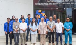 PMII