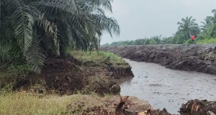 IMG-20260811-WA0056