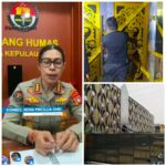 IMG-20260812-WA0030(1)