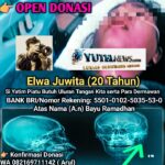 Oplus_16908288