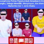 Oplus_16908288